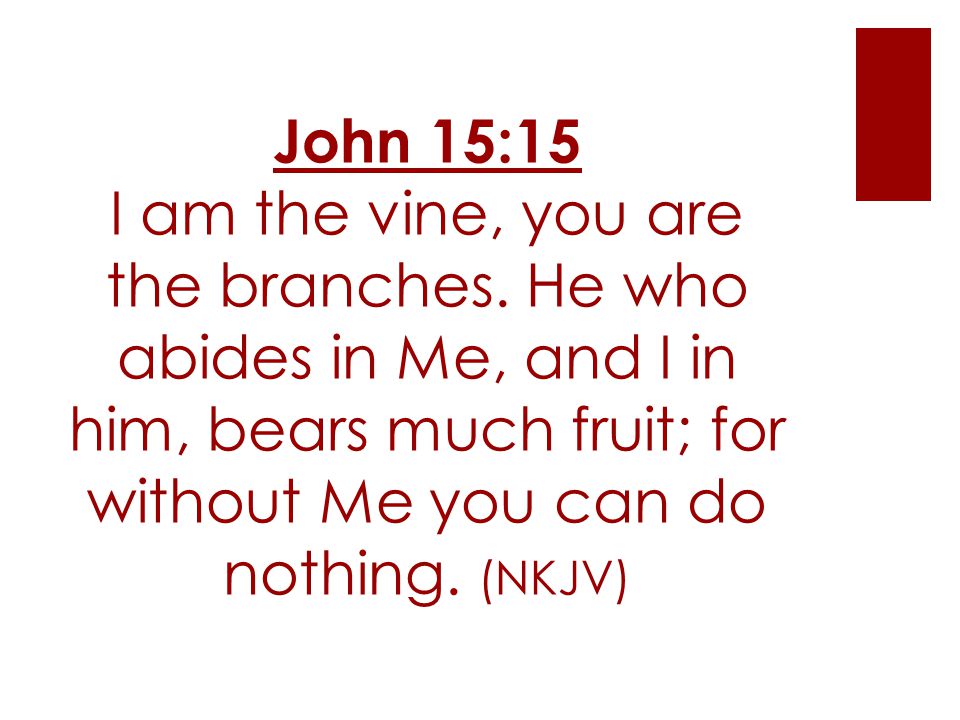 John 15:15 I am the vine, you are the branches