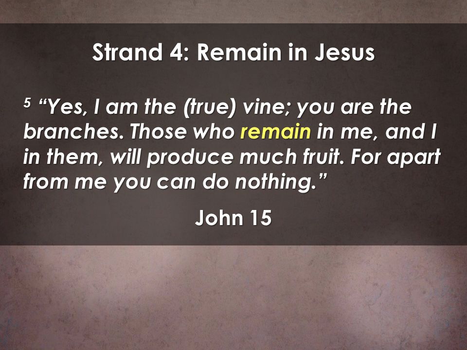 Strand 4: Remain in Jesus