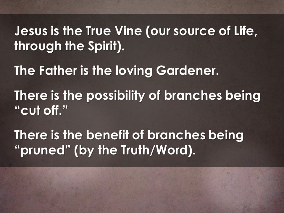 Jesus is the True Vine (our source of Life, through the Spirit).
