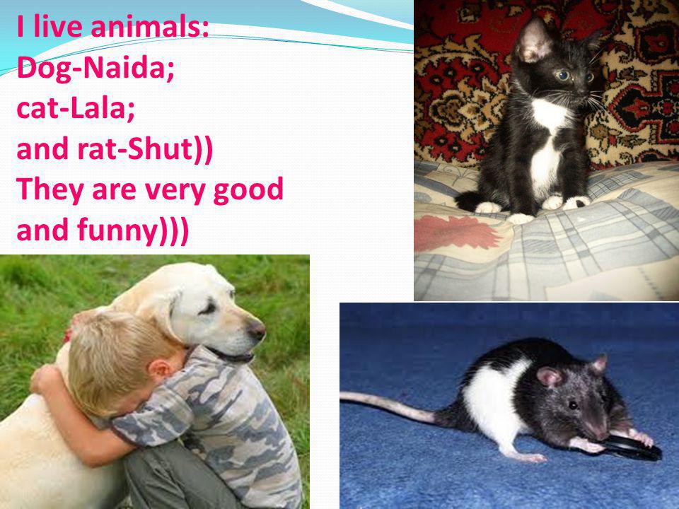 I live animals: Dog-Naida; cat-Lala; and rat-Shut)) They are very good and funny)))