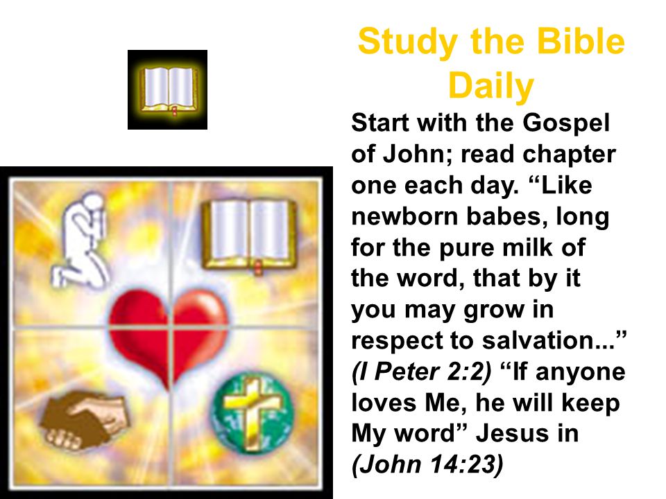 Study the Bible Daily