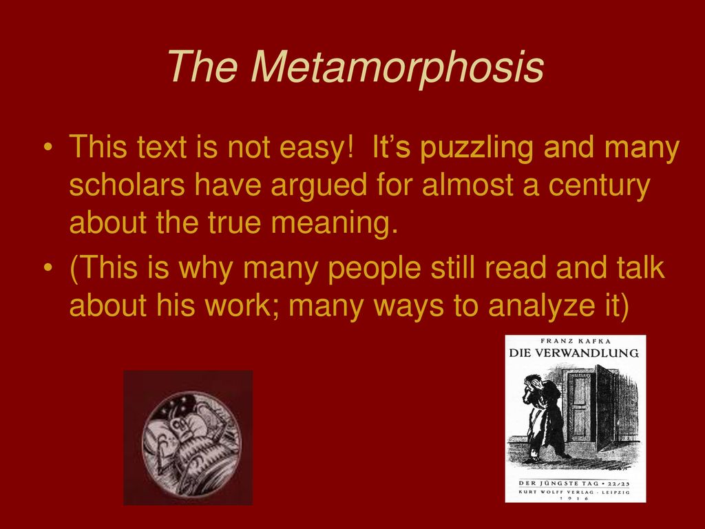 What is The Metamorphosis? - ppt download