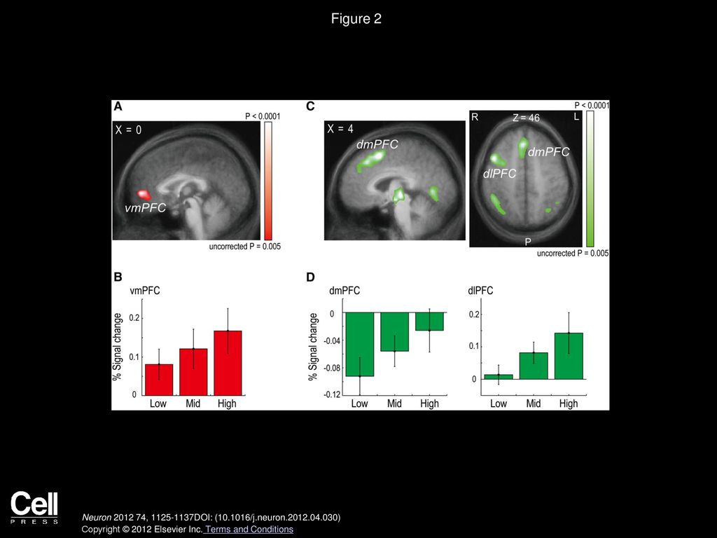 Figure 2 Neural Activity Correlated with the Simulated-Other s Reward and Action Prediction Errors.