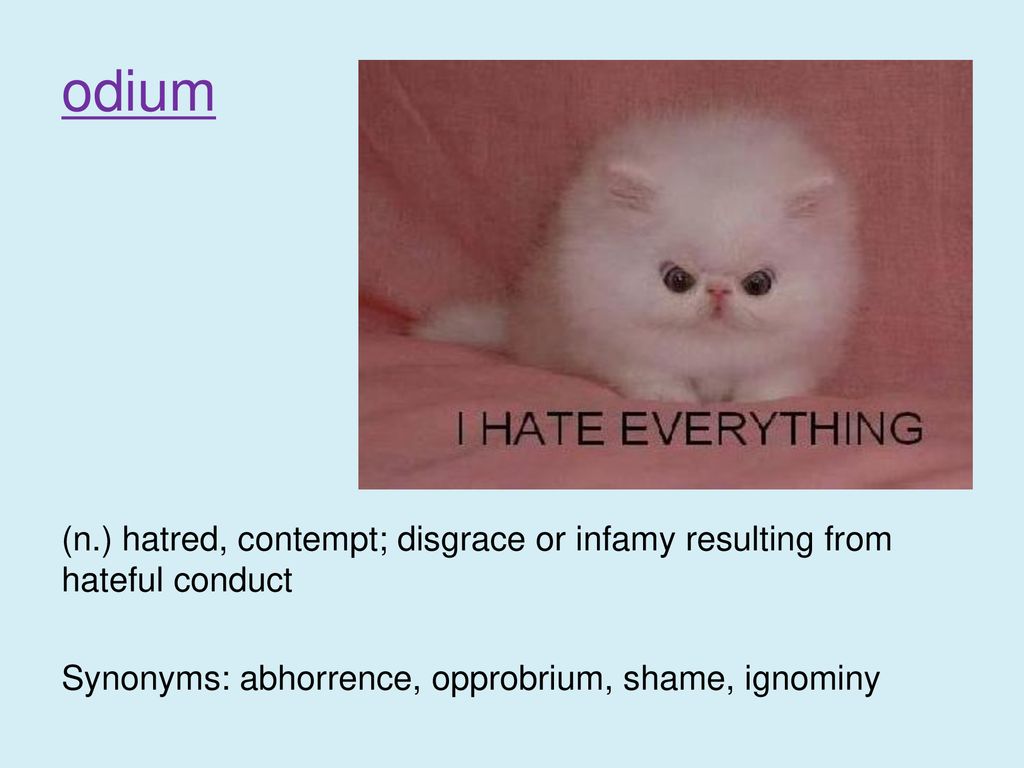 Acrimonious Adj Stinging Bitter In Temper Or Tone Synonyms
