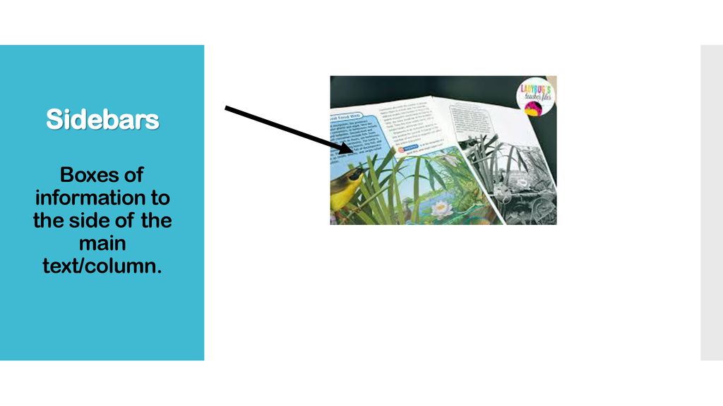 Text features ppt download