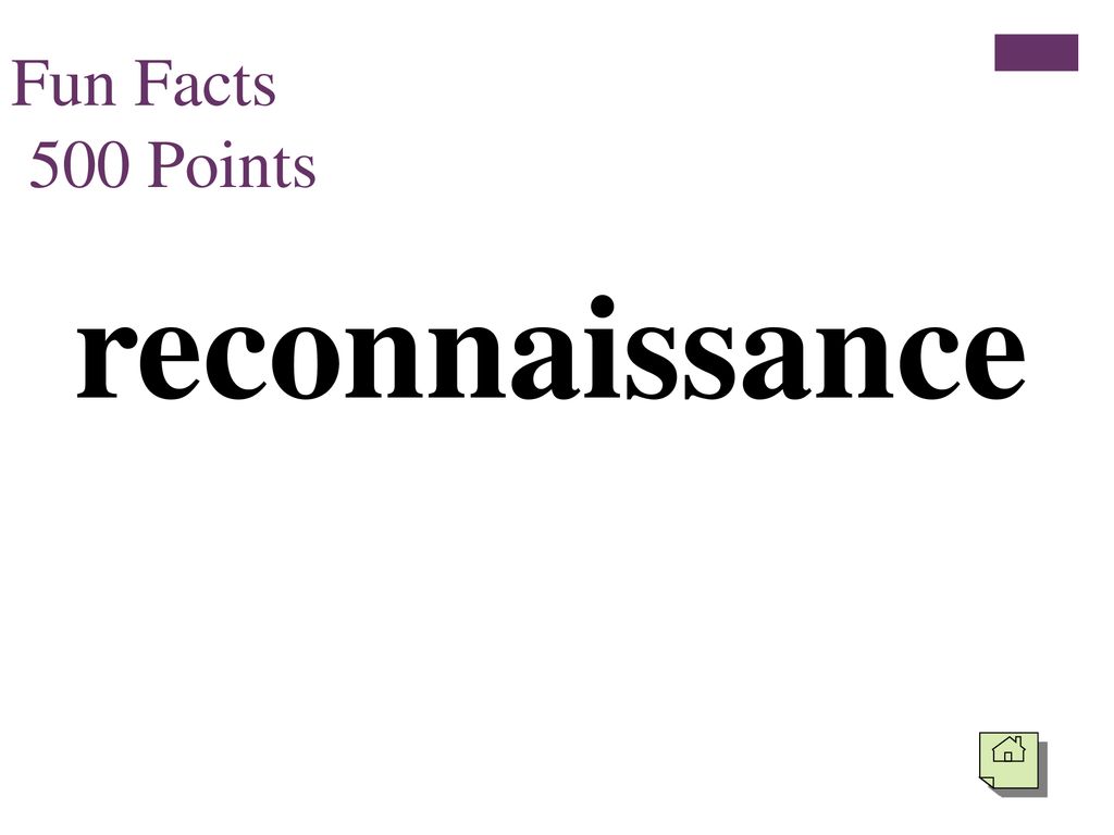 Fun Facts 500 Points reconnaissance