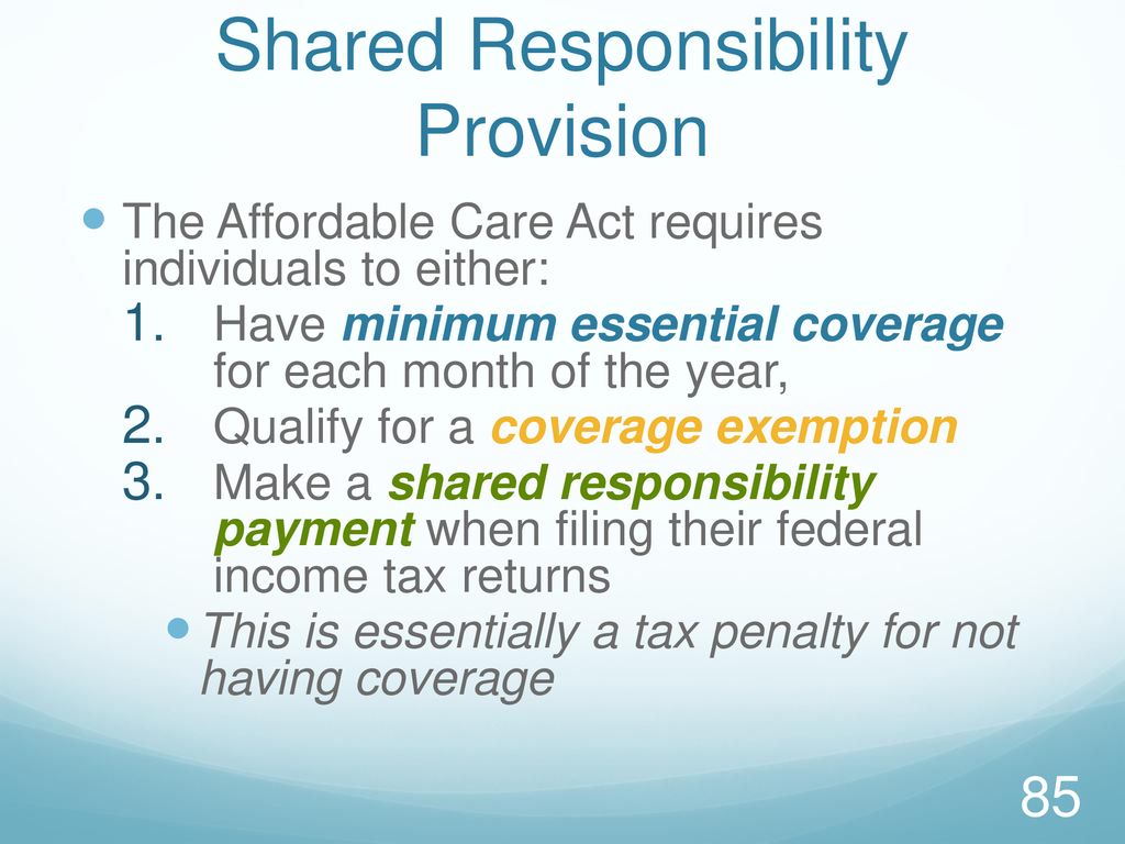 Shared Responsibility Provision