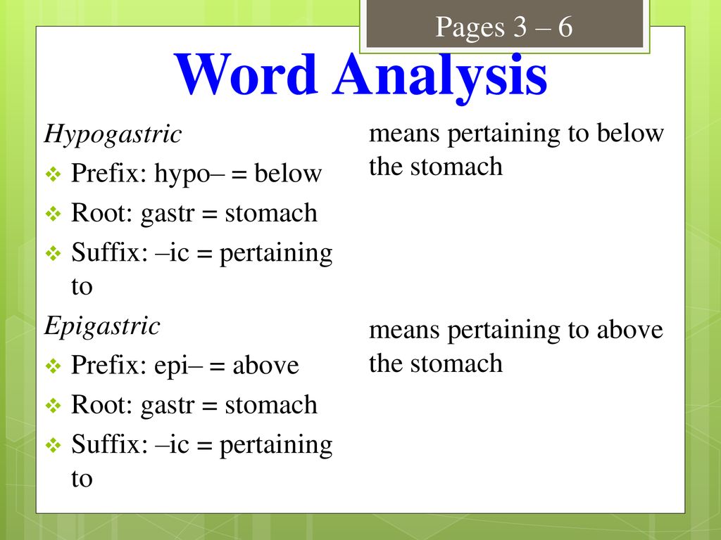 epigastric root word