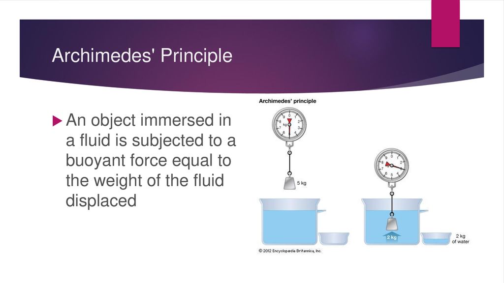 Chapter 2 forces in fluids ppt download