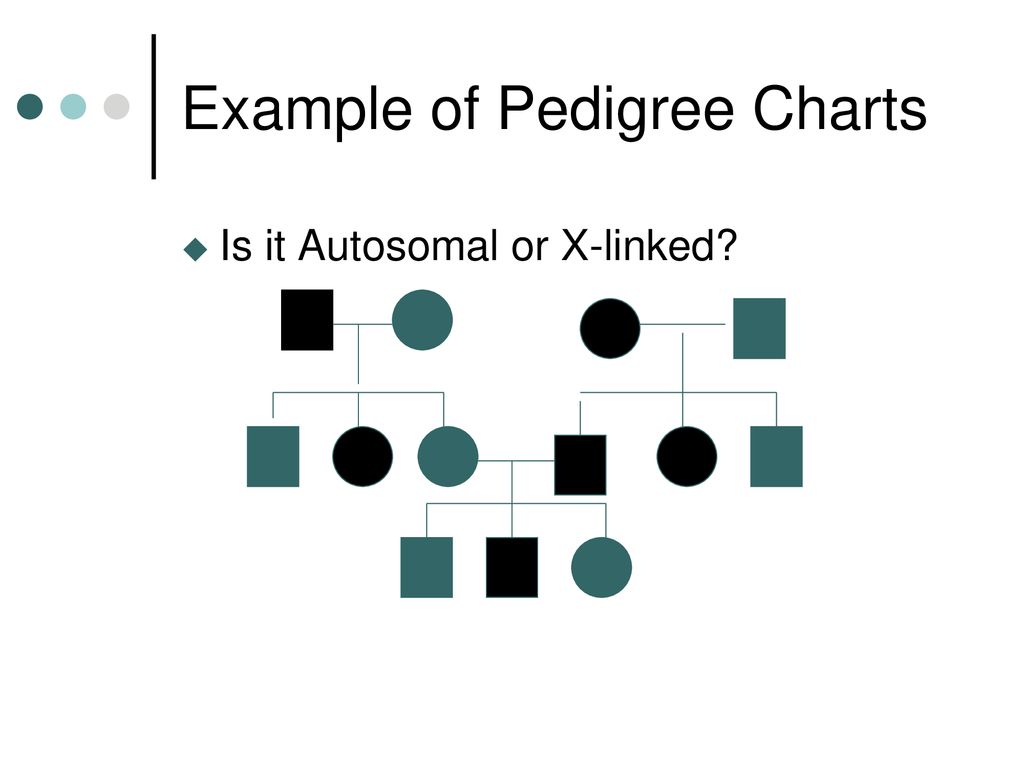 X Linked Pedigree Chart