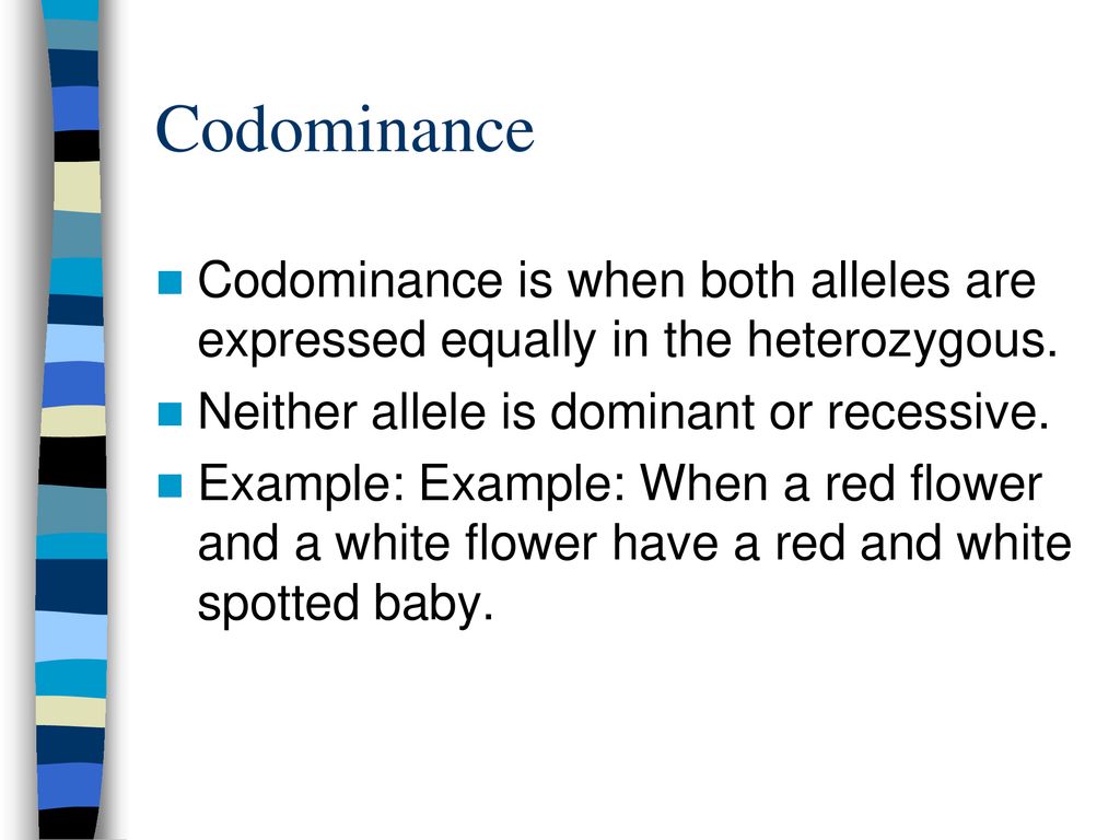Codominance Codominance is when both alleles are expressed equally in the heterozygous. Neither allele is dominant or recessive.