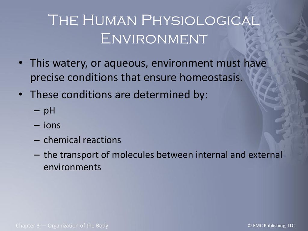 The Human Physiological Environment