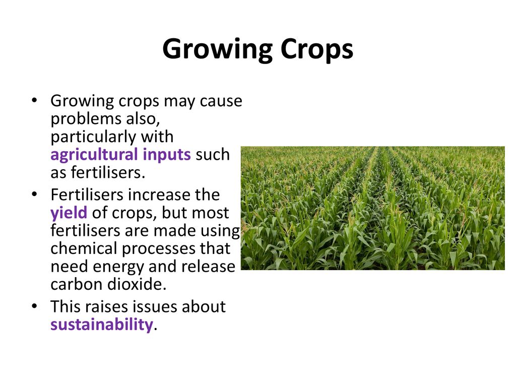 Sb9i food security ppt download
