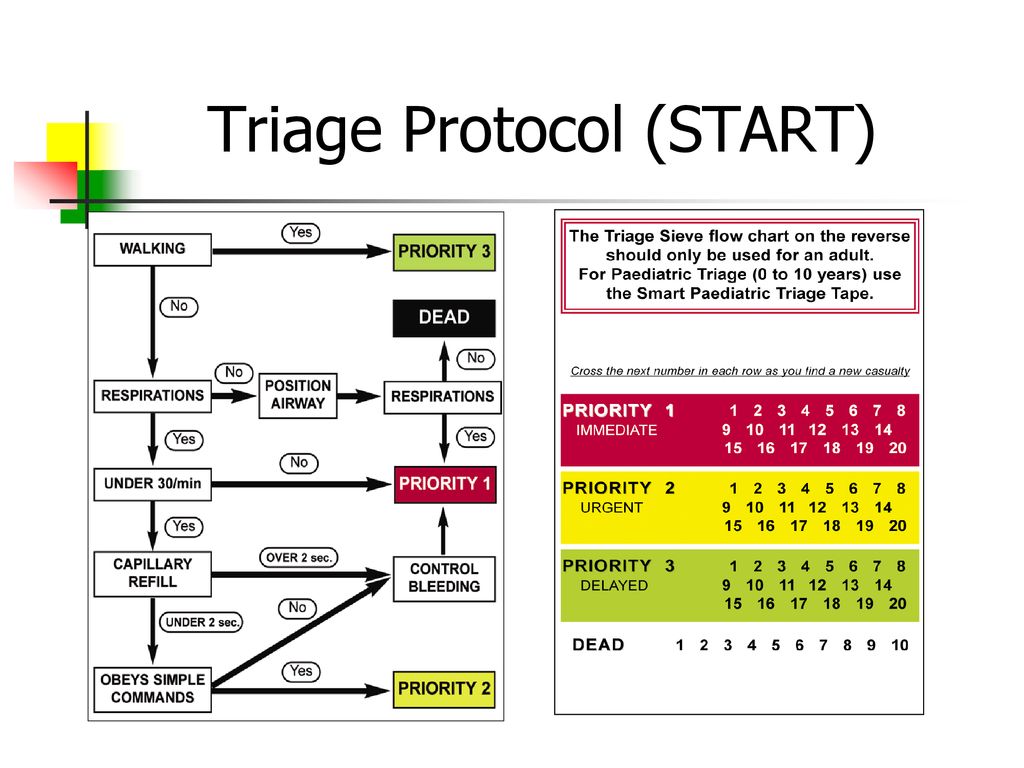 Start graalcrmbot. Сортировка пациентов по триаж системе. Start протокол. Triage система. Система старт сортировка.