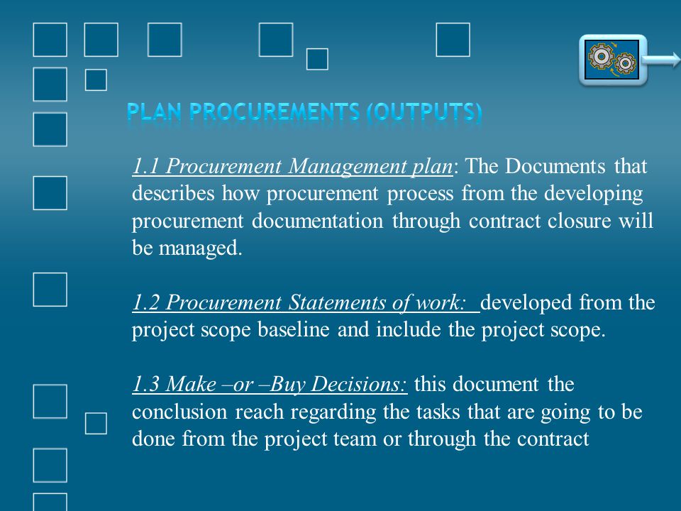 Plan Procurements (Outputs)