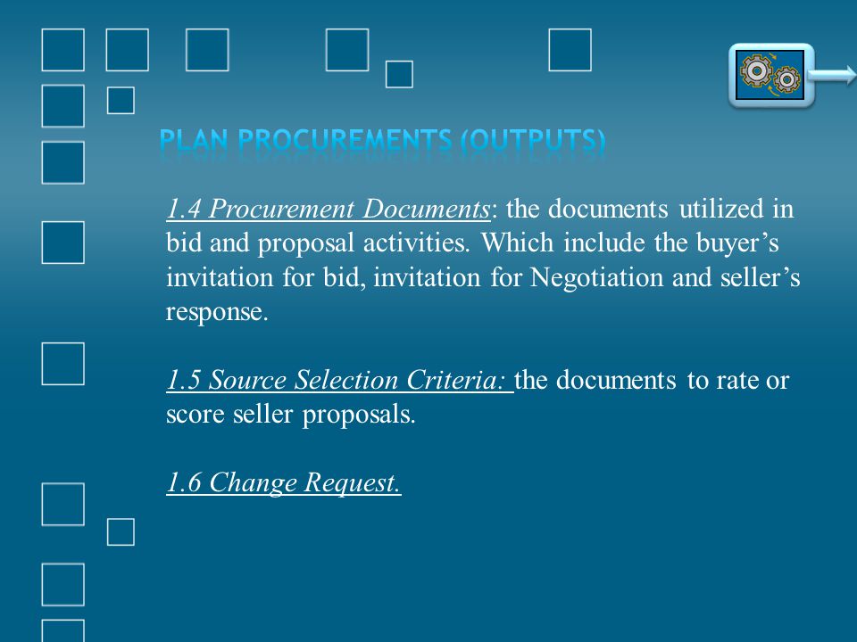 Plan Procurements (Outputs)