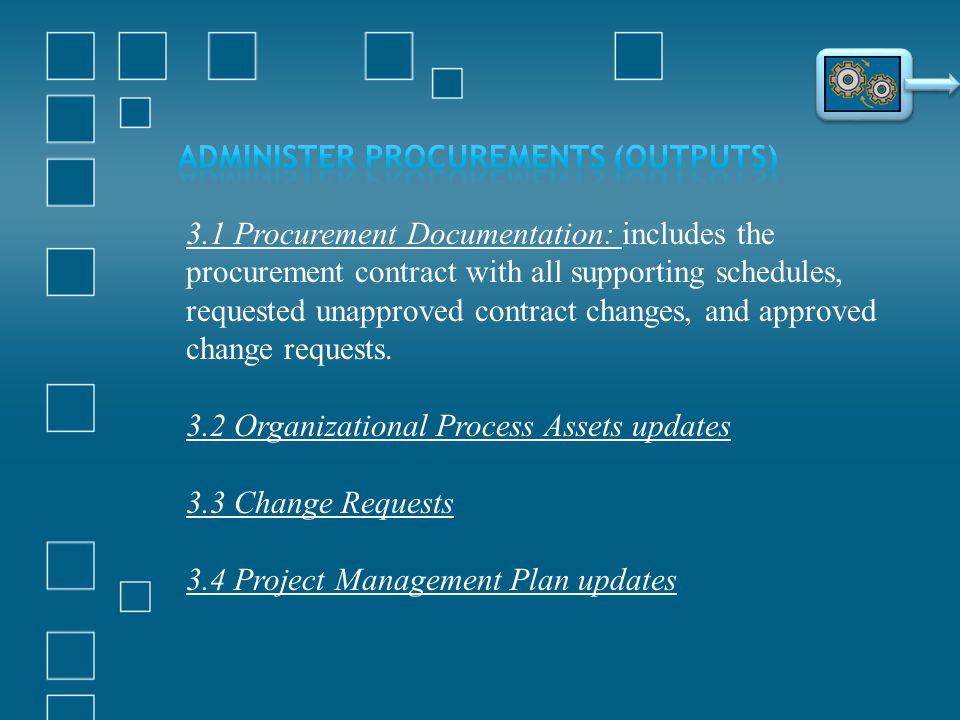 Administer Procurements (Outputs)