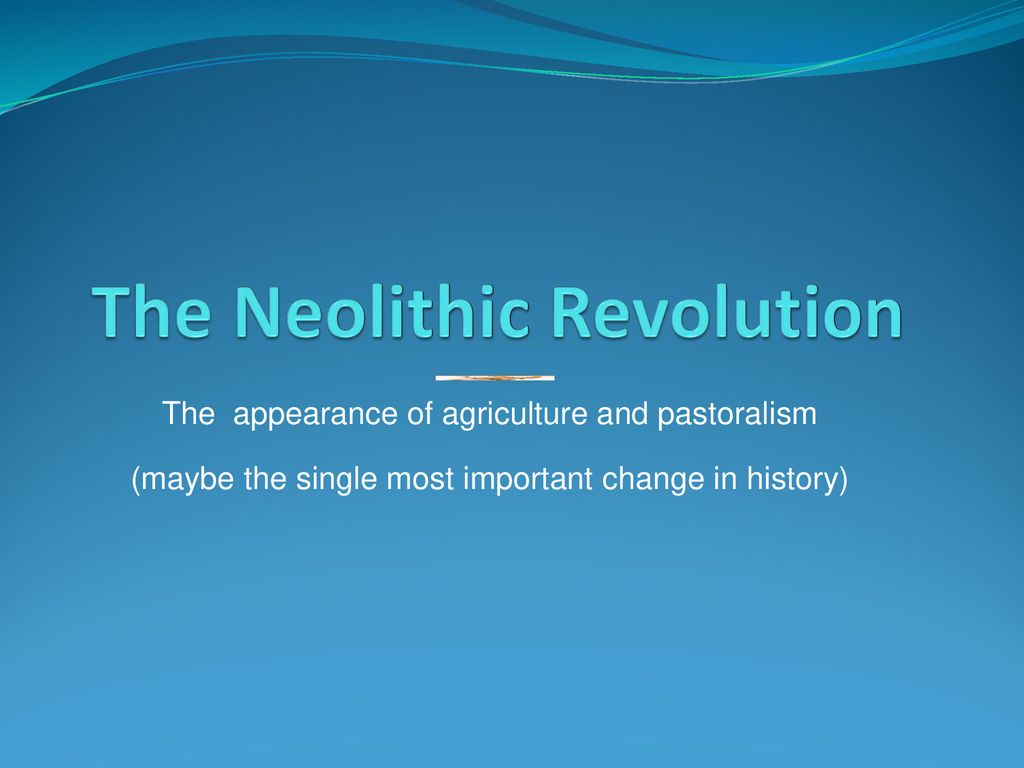 The Neolithic Revolution - ppt download