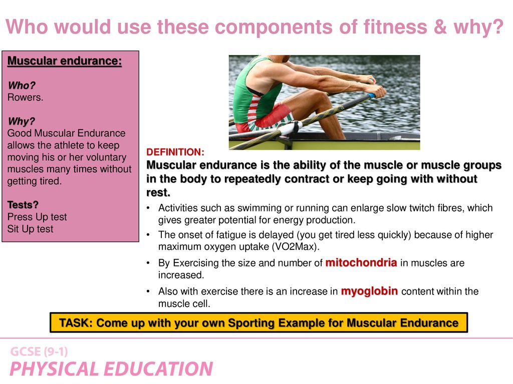 Physical Training. - download