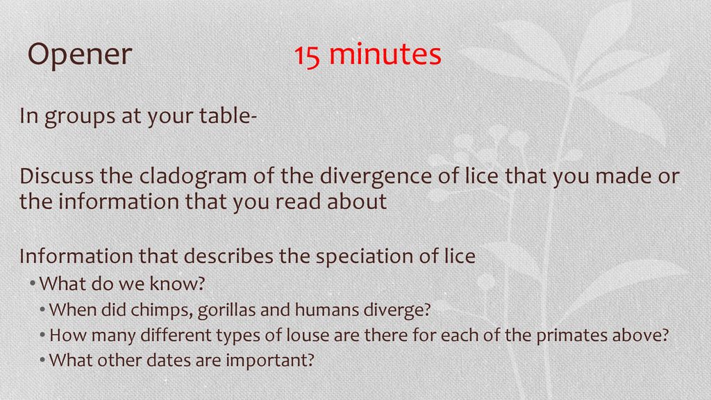 Unit Two, Day 9 Plants. - ppt download