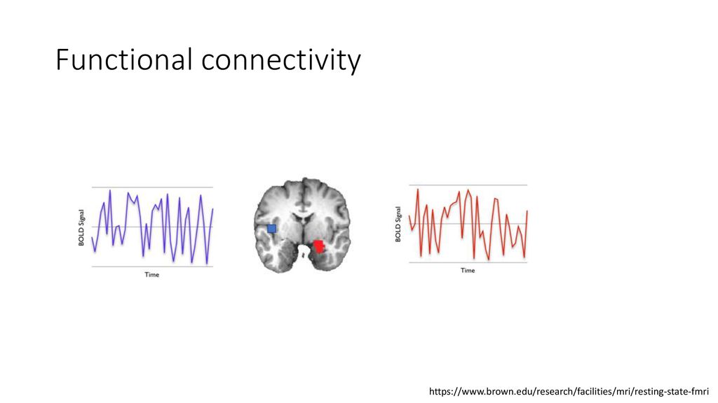 Characterizing The Spectrum Of Task Fmri Connectivity Approaches Ppt Download Characterizing The Spectrum Of Task Fmri Connectivity Approaches Ppt Download
