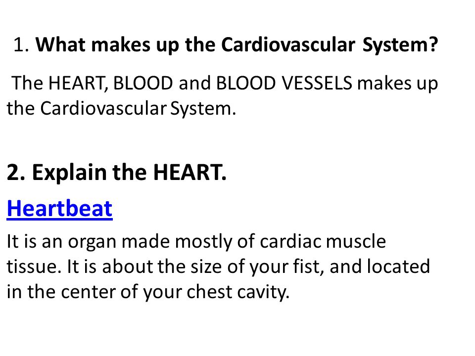 1. What makes up the Cardiovascular System
