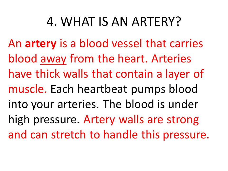 4. WHAT IS AN ARTERY