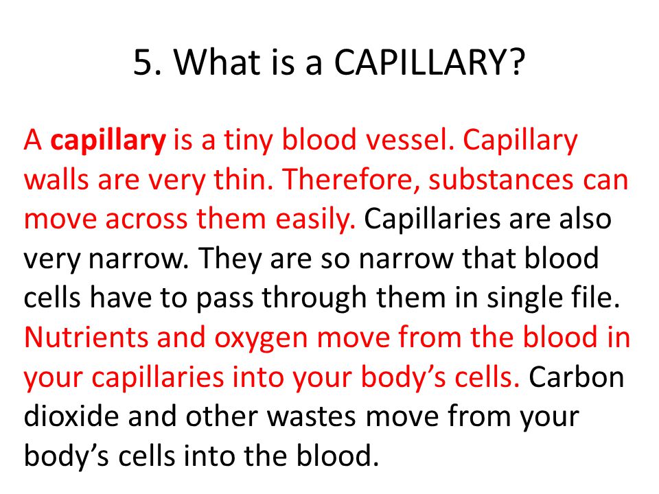 5. What is a CAPILLARY