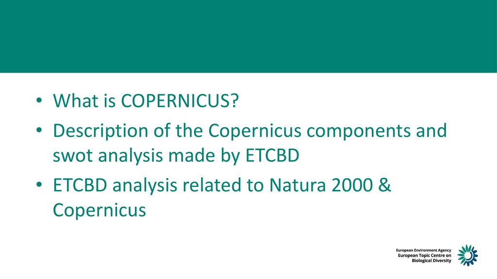 What is COPERNICUS. Description of the Copernicus components and swot analysis made by ETCBD.