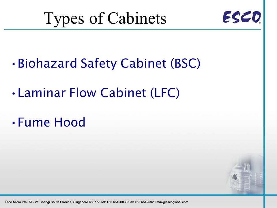 Working Safely In Your Biological Safety Cabinet Ppt Video