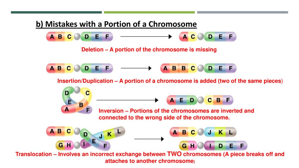 When it all goes wrong? Mutations (Chapter 12 Section 4) Biology Diagrams