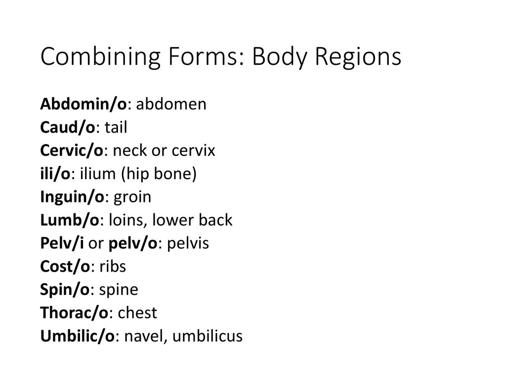 Anatomical position and body cavities ppt download