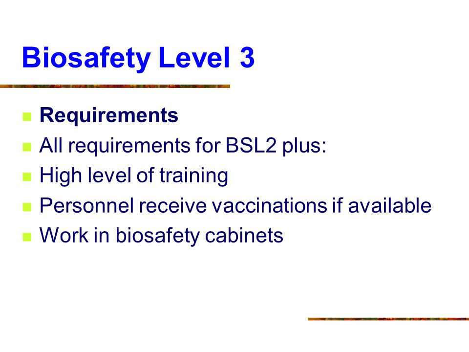 Biosafety In Microbiological And Biomedical Laboratories Ppt Download