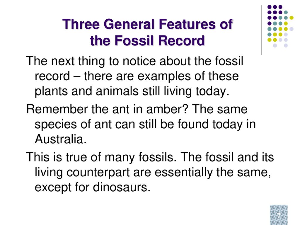 Week 15 - Mod 7 The Fossil Record - ppt download