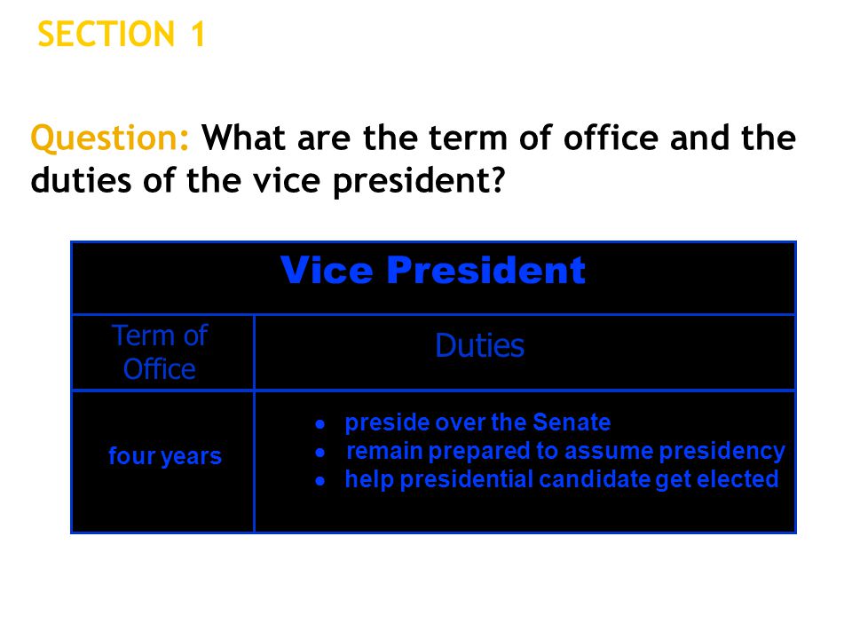 Vice President SECTION 1