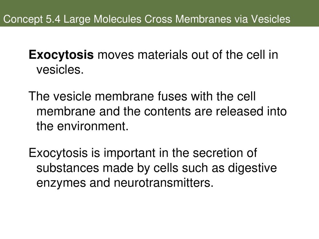 Cell Membranes and Signaling - ppt download