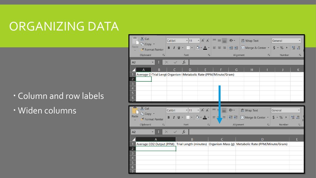 Excel basics ppt download