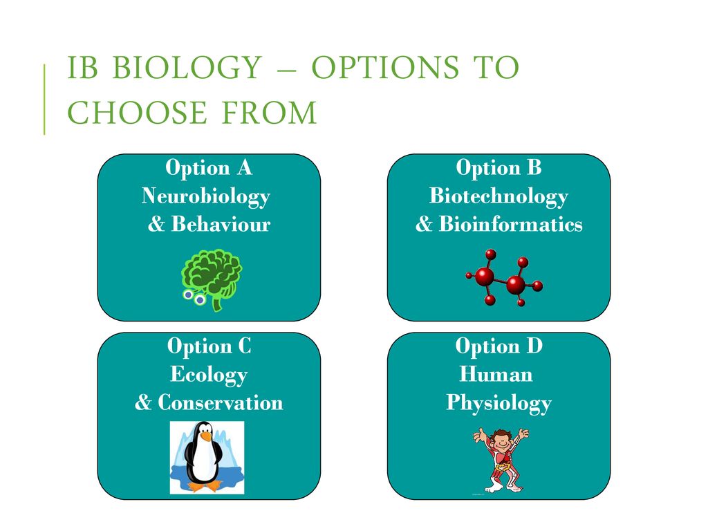 ib biology option d