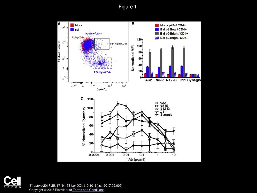 Figure 1 Binding of N12-i3 to EGFP-CEM-NKr-CCR5-SNAP Cells Infected with BaL Infectious Molecular Clone.