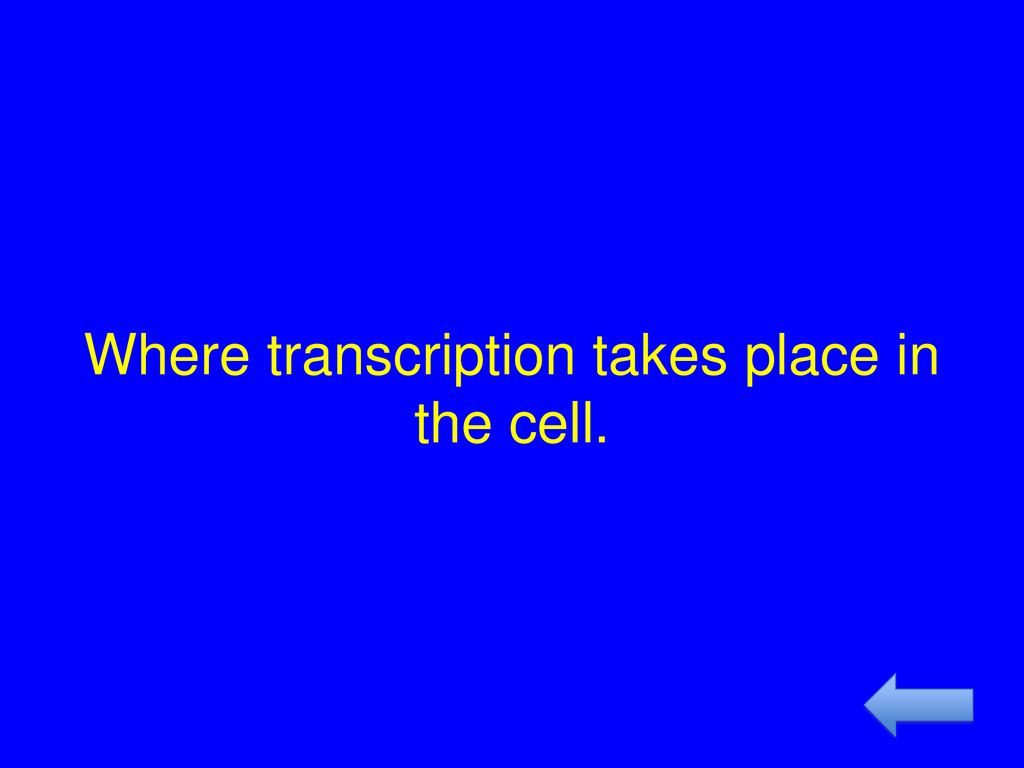 Rna dna synthesis mutations protein synthesis ppt download