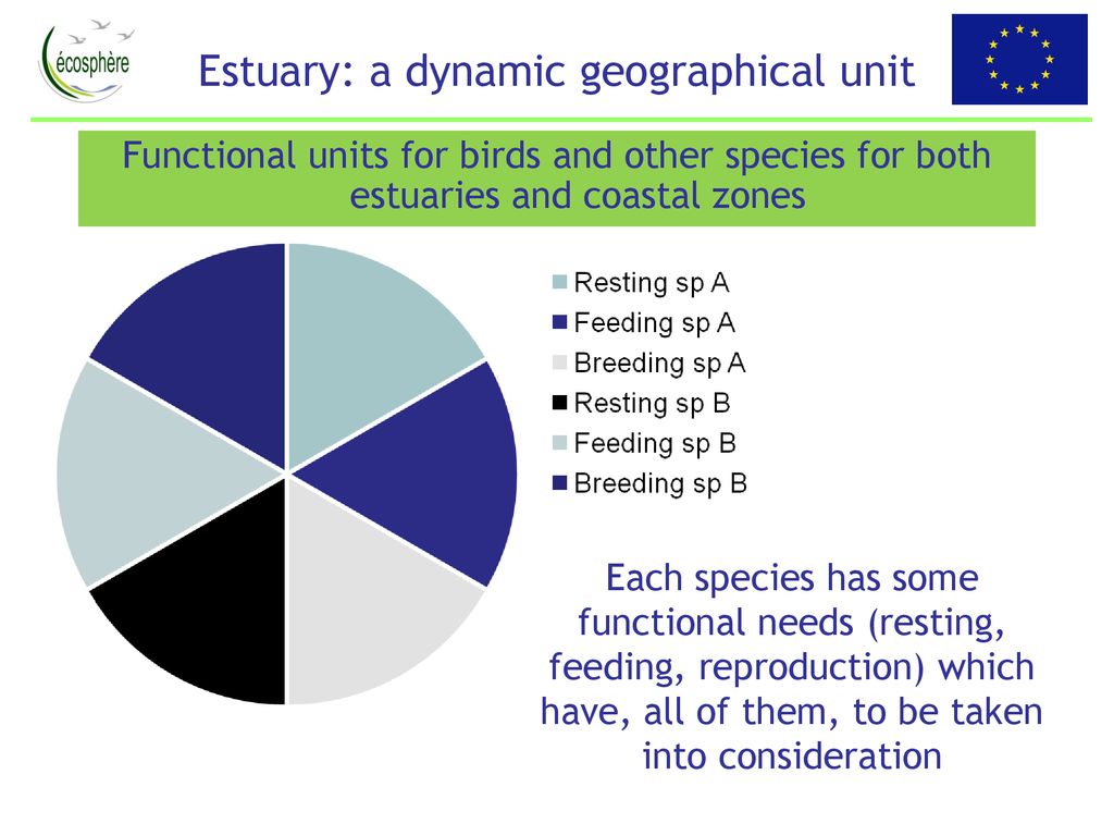 Estuary: a dynamic geographical unit