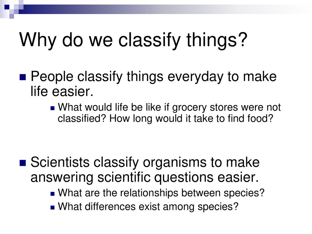 Why do we classify things
