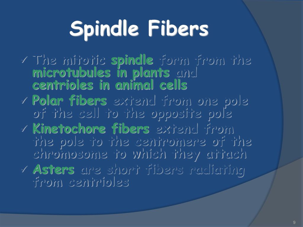 ppt download Biology Diagrams