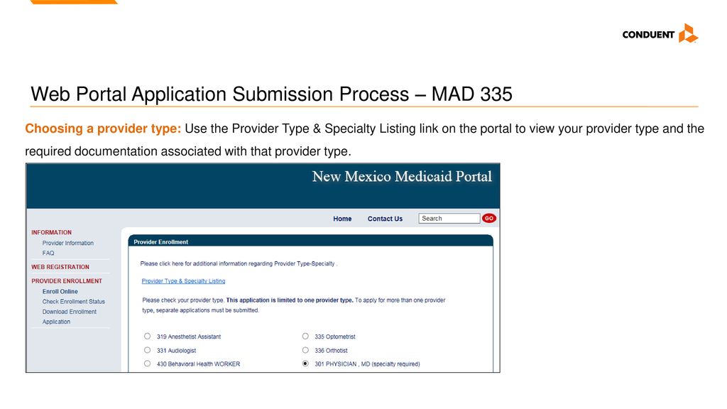 Web Portal Application Submission Process – MAD 335