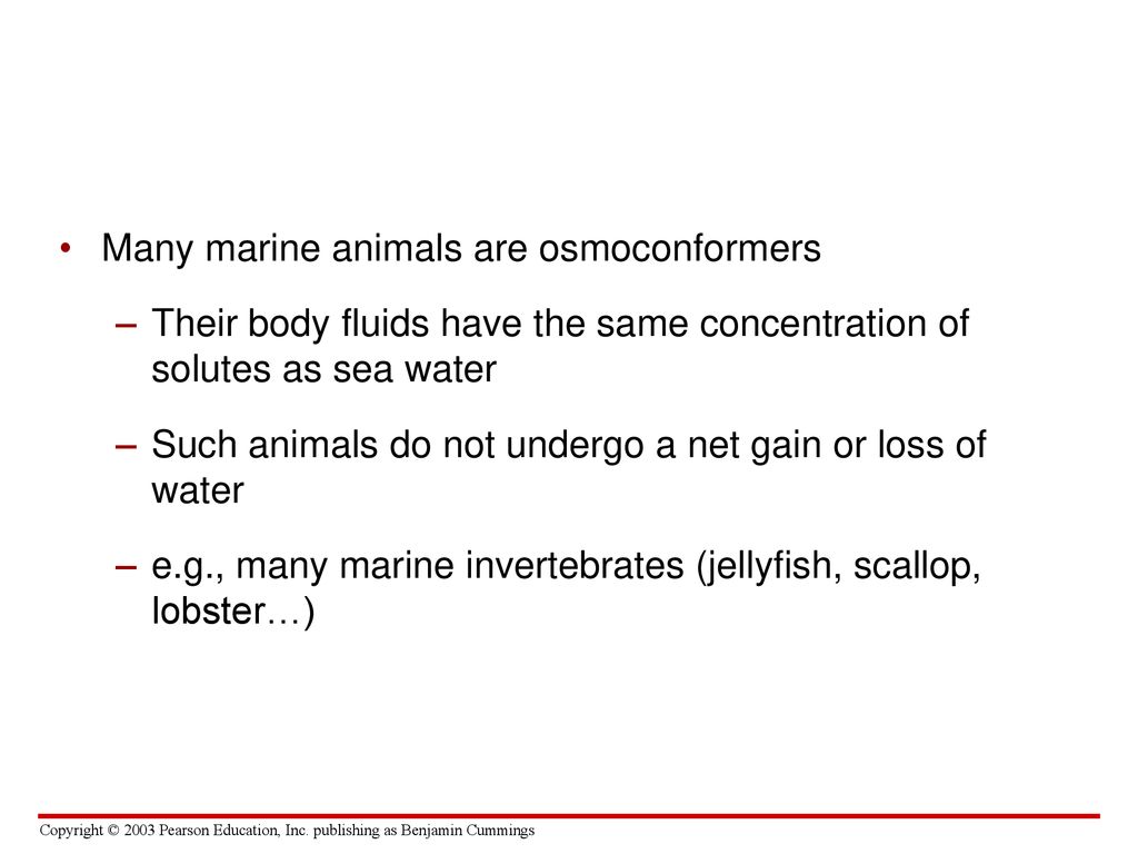 Chapter 25. Control of the Internal Environment - ppt download