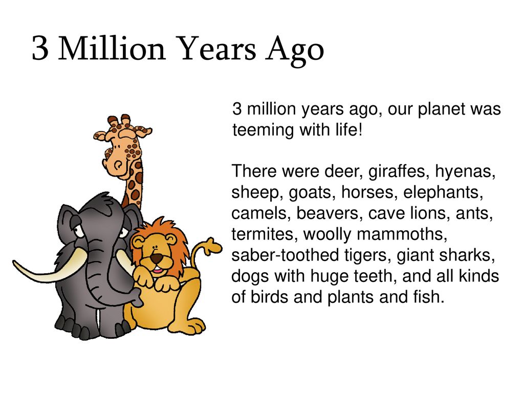 Hominids are the family of mankind and his or her relatives. - ppt download