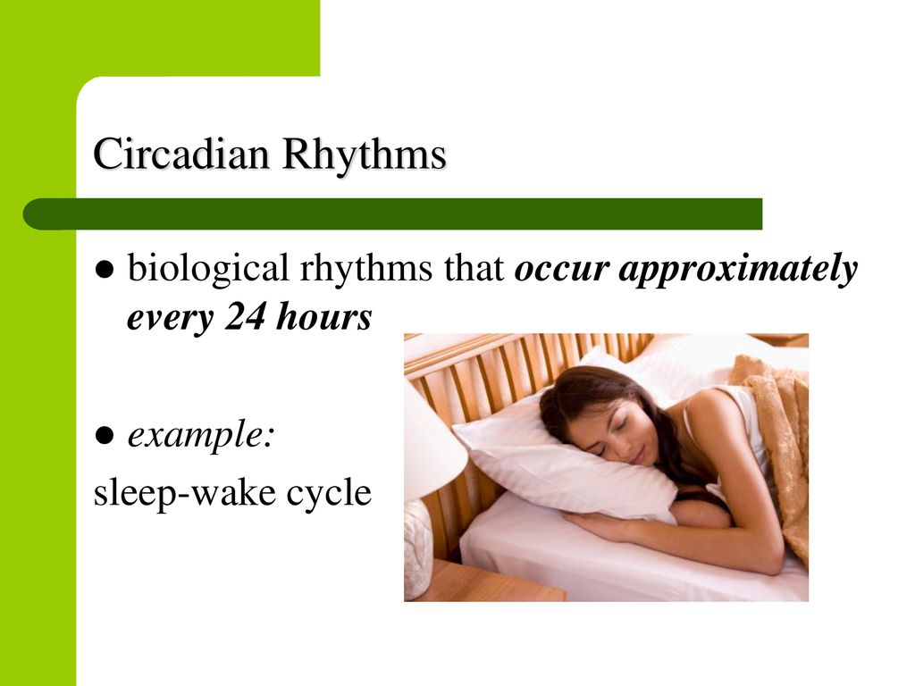 Circadian Rhythms biological rhythms that occur approximately every 24 hours.