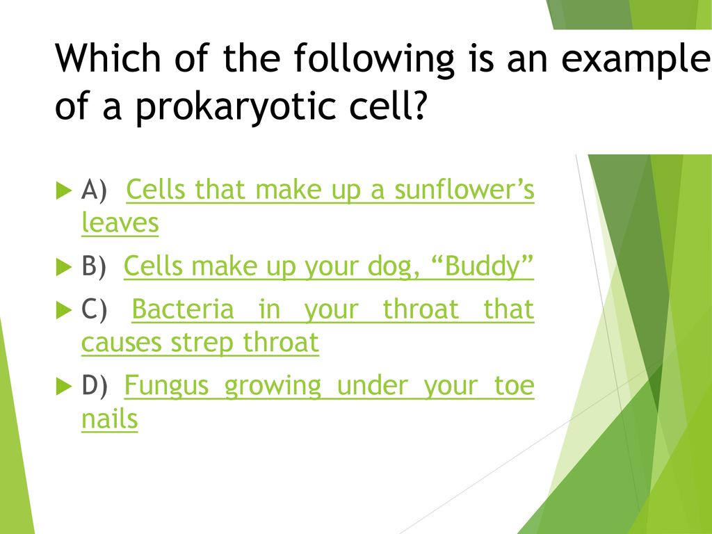 DO NOW Take out your Diffusion and Osmosis worksheets and continue