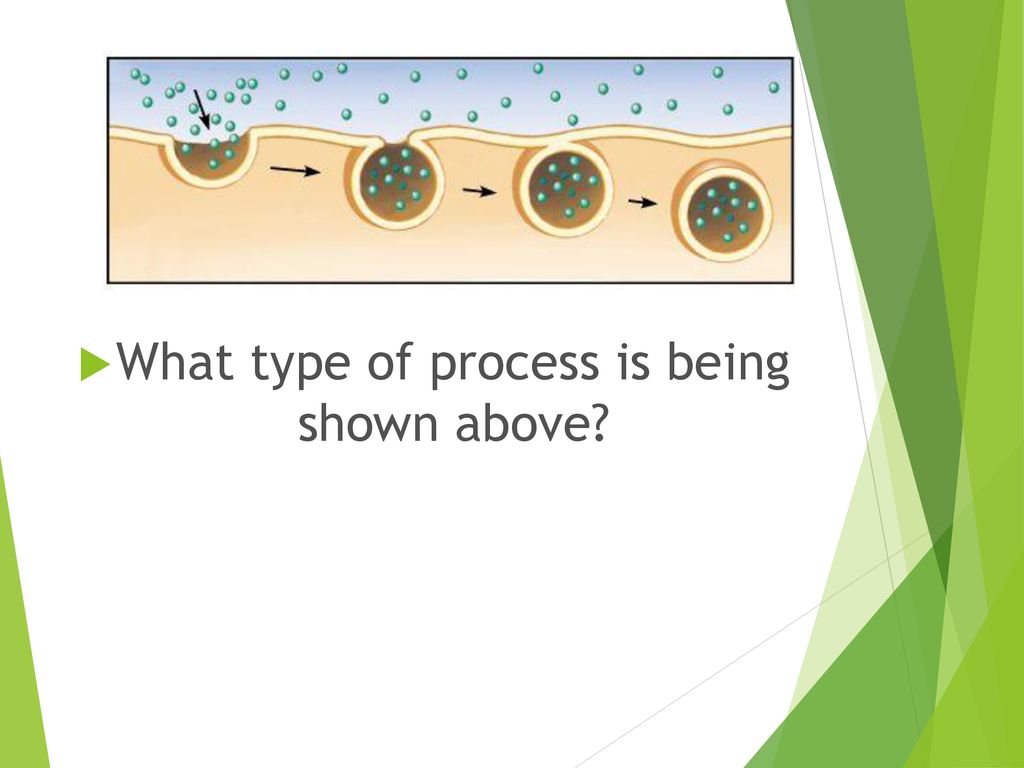 DO NOW Take out your Diffusion and Osmosis worksheets and continue
