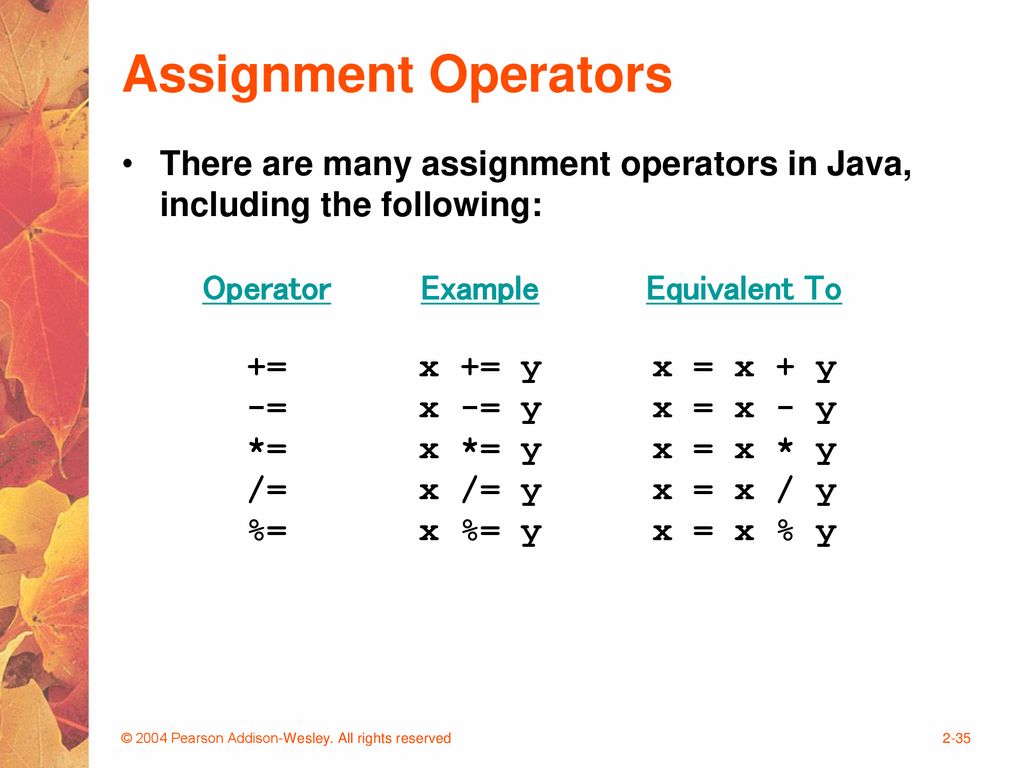 Chapter 2 Data and Expressions. - ppt download
